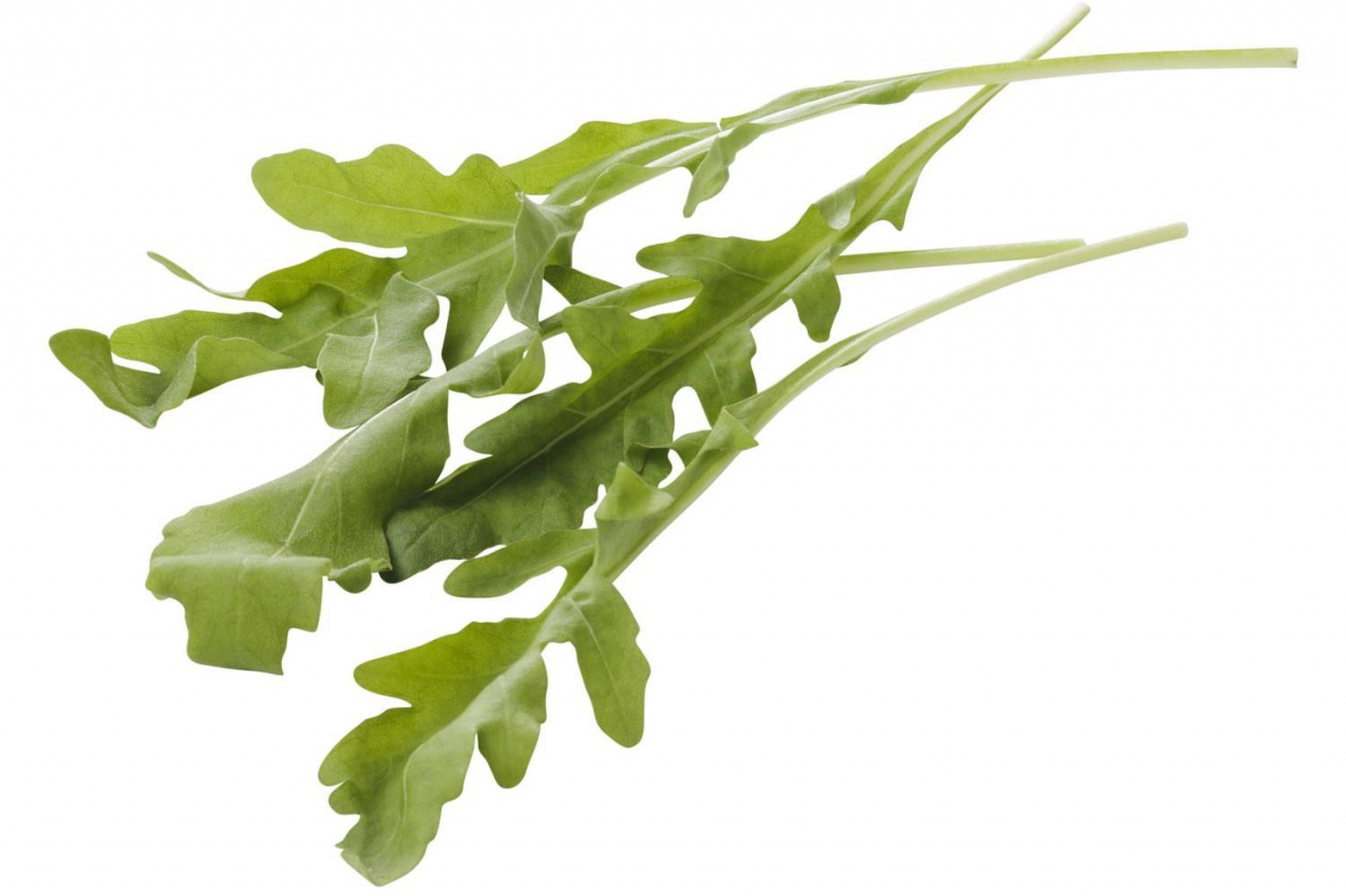 Fruits & vegetables - Pidii