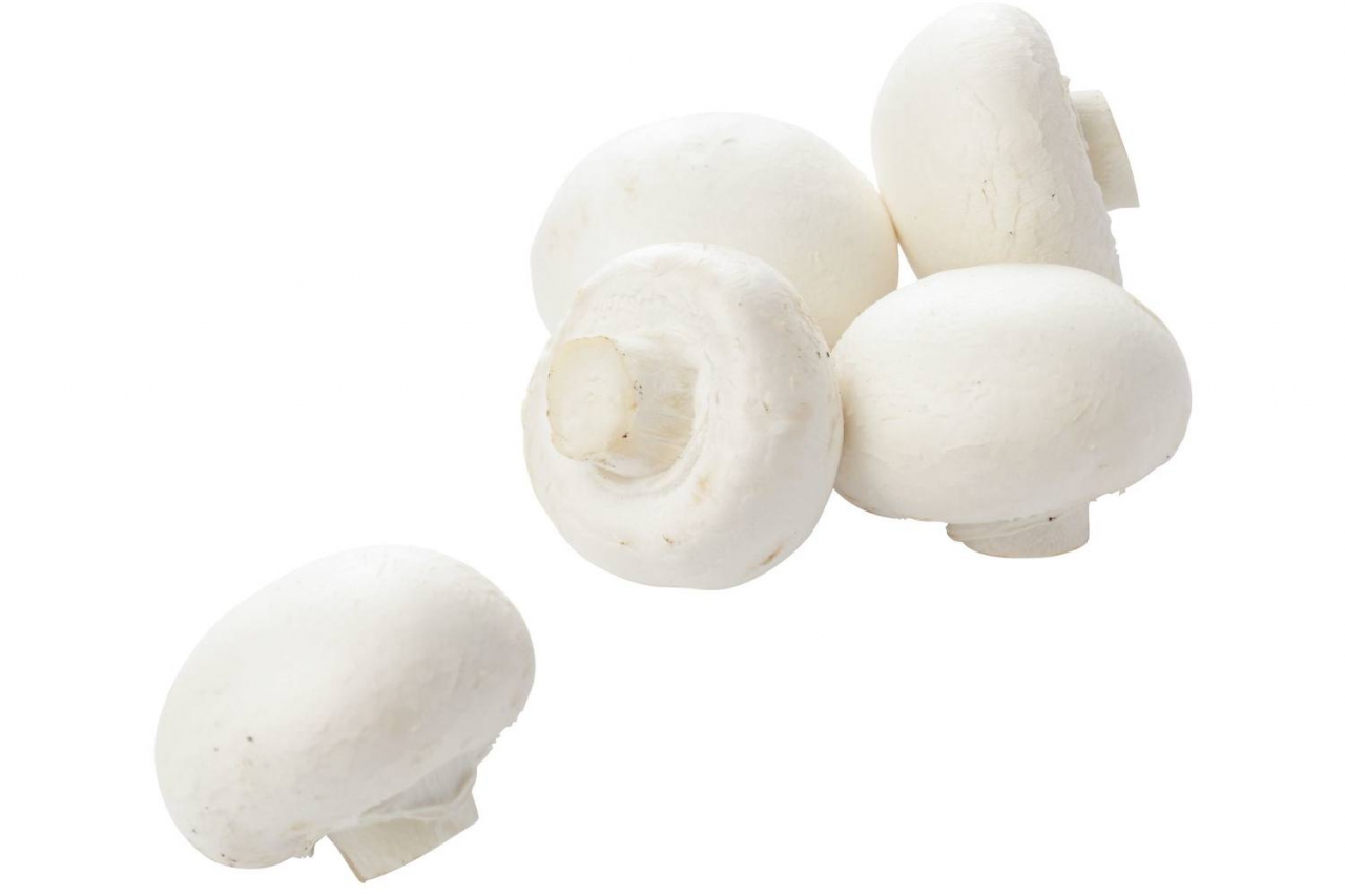 White mushrooms - Pidii